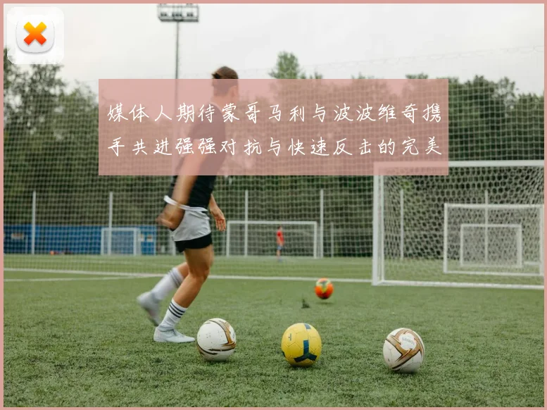 媒体人期待蒙哥马利与波波维奇携手共进强强对抗与快速反击的完美结合