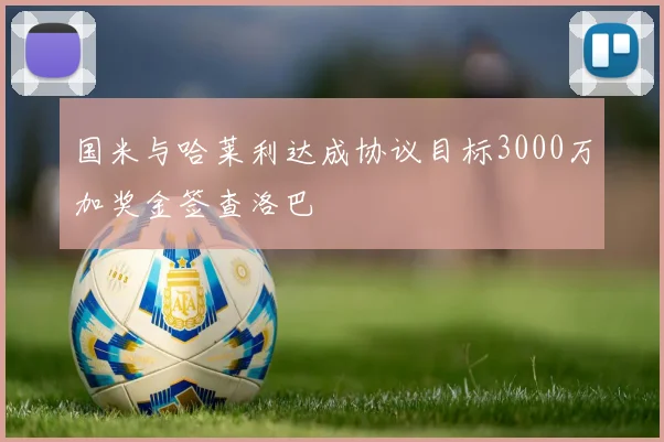 国米与哈莱利达成协议目标3000万加奖金签查洛巴
