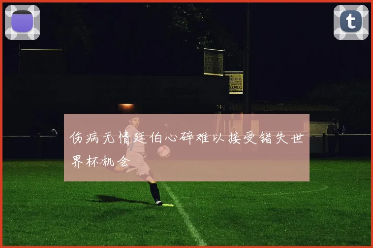 伤病无情廷伯心碎难以接受错失世界杯机会